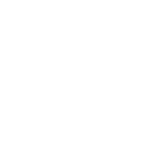 investor icon